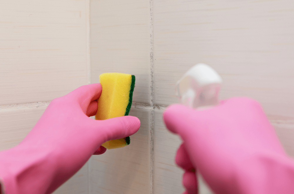 Best Homemade Grout Cleaner